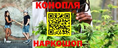 винт Донецк