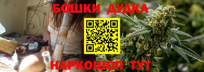 a pvp Дубна