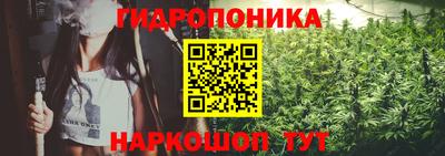 a pvp Дубна