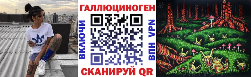 закладка Кириши Псилоцибиновые грибы Cubensis