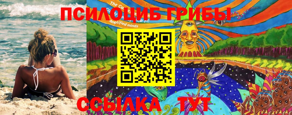 Псилоцибиновые грибы Cubensis  Галлюциногенные грибы прущие грибы  где найти   Вход с VPN  Кириши 