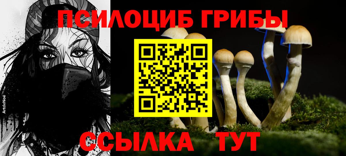 Псилоцибиновые грибы Psilocybine cubensis Кириши