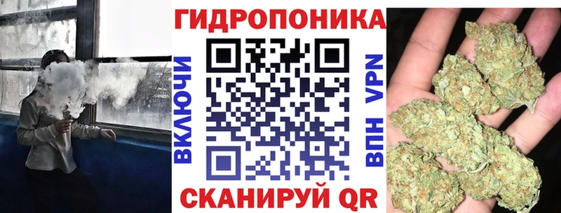 купить наркотики сайты  Кириши  Шишки марихуана MAZAR 
